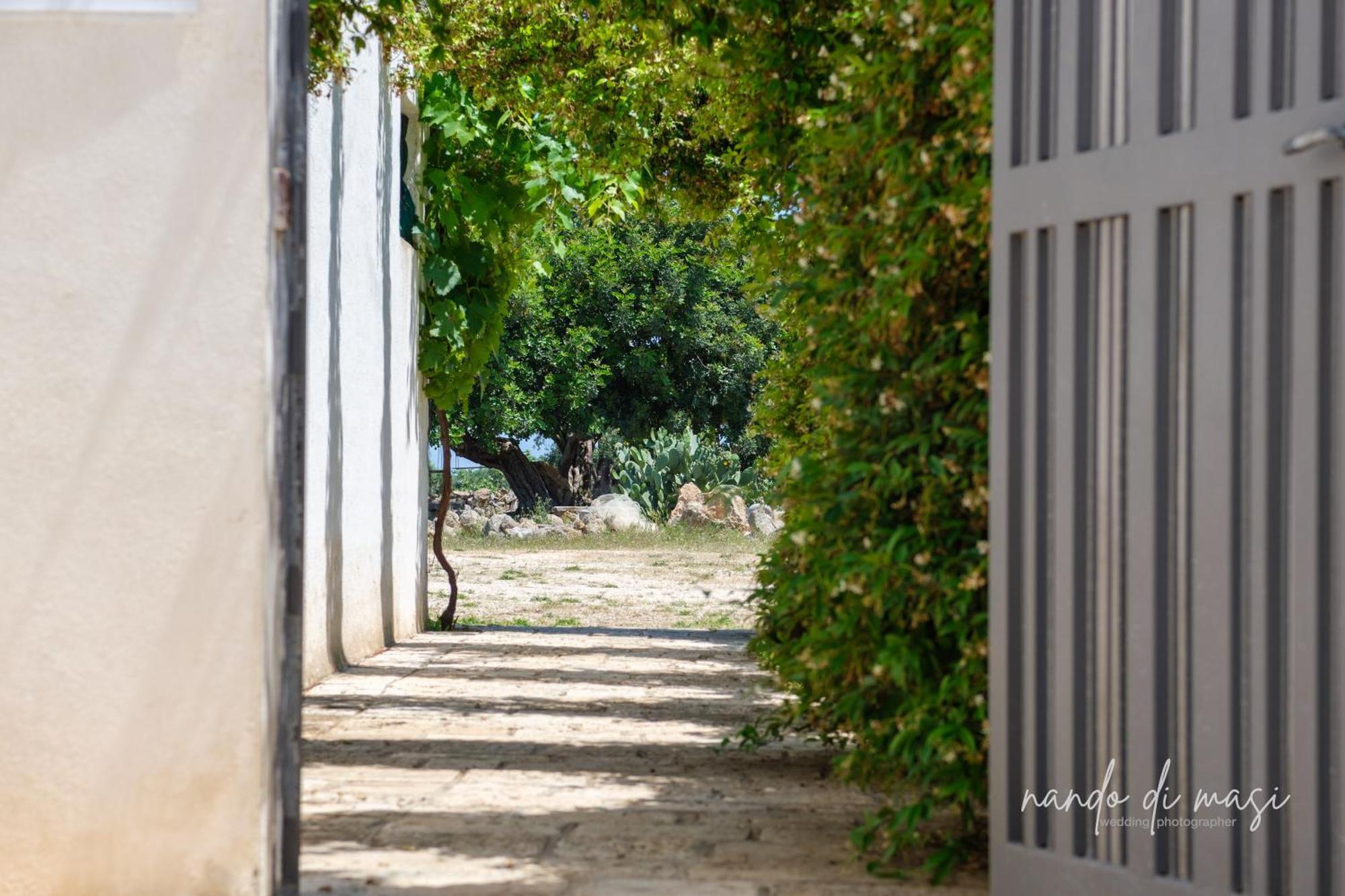 Masseria Giangrande - Rooms And Apartment Polignano a Mare Dış mekan fotoğraf