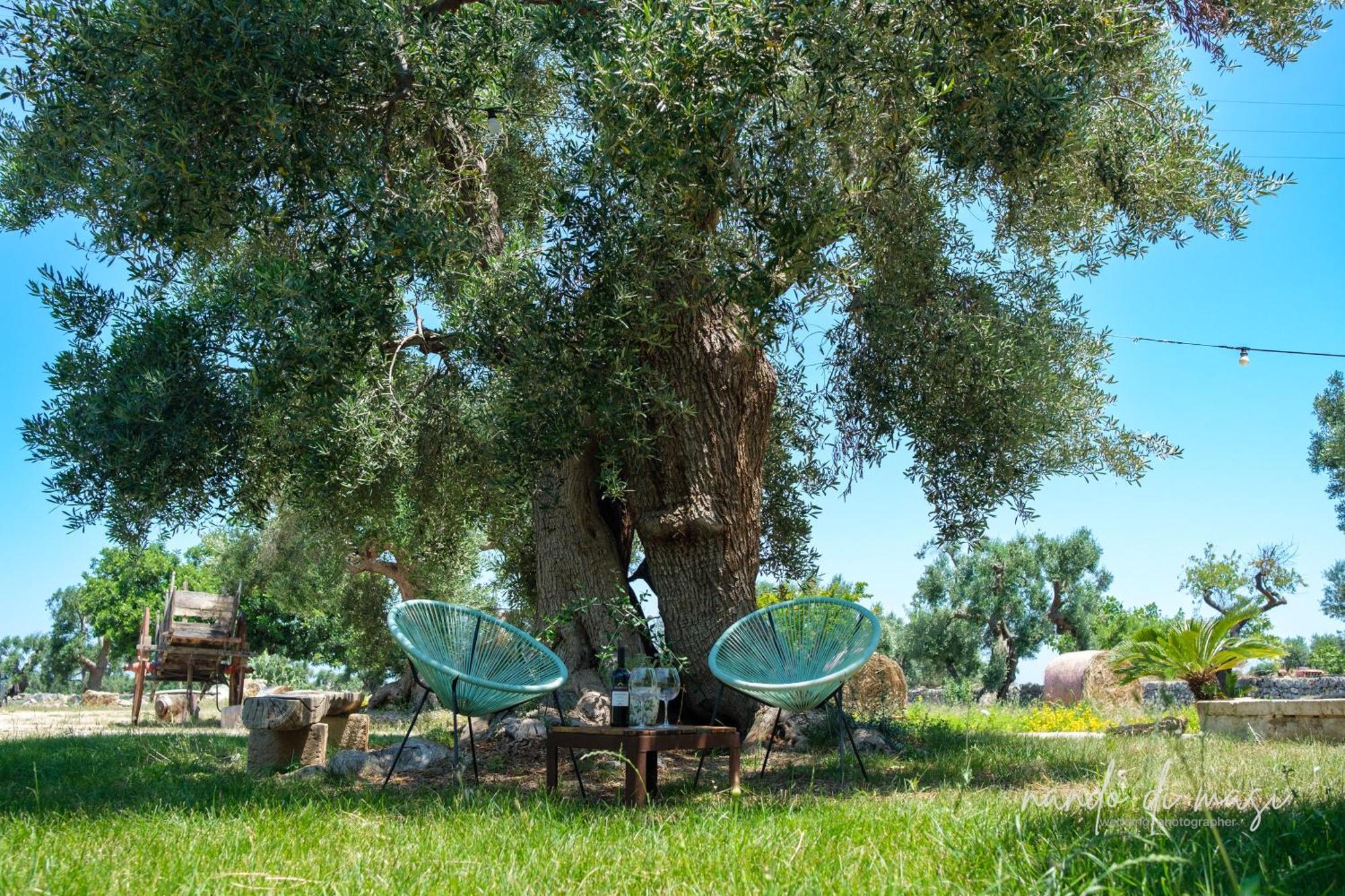 Masseria Giangrande - Rooms And Apartment Polignano a Mare Dış mekan fotoğraf
